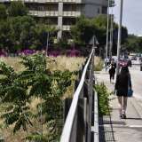 Non ci resta ora che dirigerci verso l�estremit� sud del quartiere. Ci troviamo in via Lucarelli